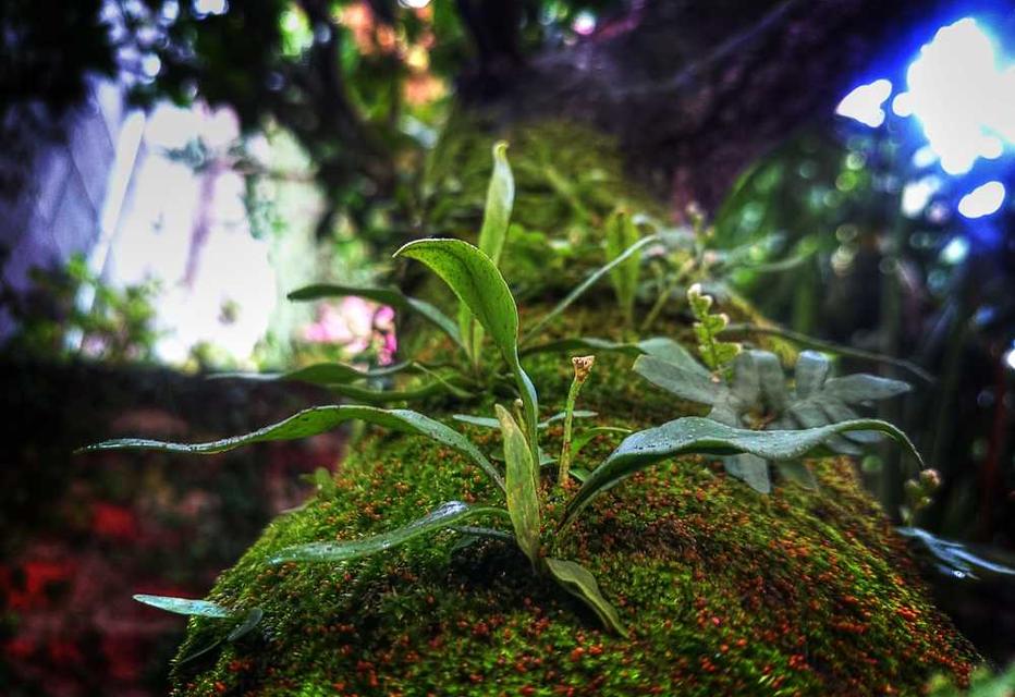 Lada Vyvialová (NAPOJENÉ)